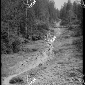 Sorgenti della Drava - LN00009654