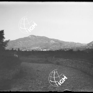 Gruppo di Filadonna da Maso Desert (Trento) - LN00009688