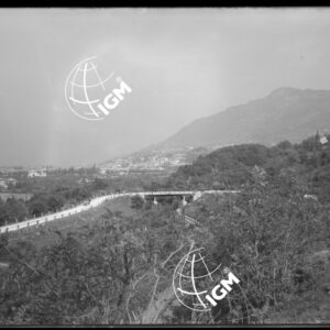 Mori - LN00009689