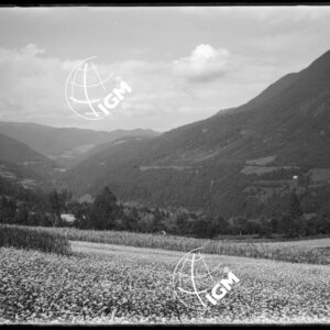 Val di Proveis o Testata Val di Non - LN00009704