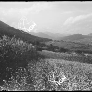 Val di Proveis o Testata Val di Non - LN00009705