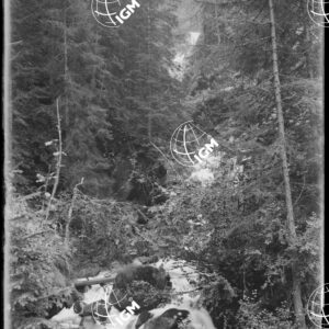 Cascata di Cercena - LN00009711