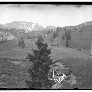 Gruppo di Sella da P.so Campolongo - LN00009717