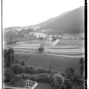 Villnös - LN00009733