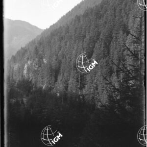 Val Cadino - LN00009794