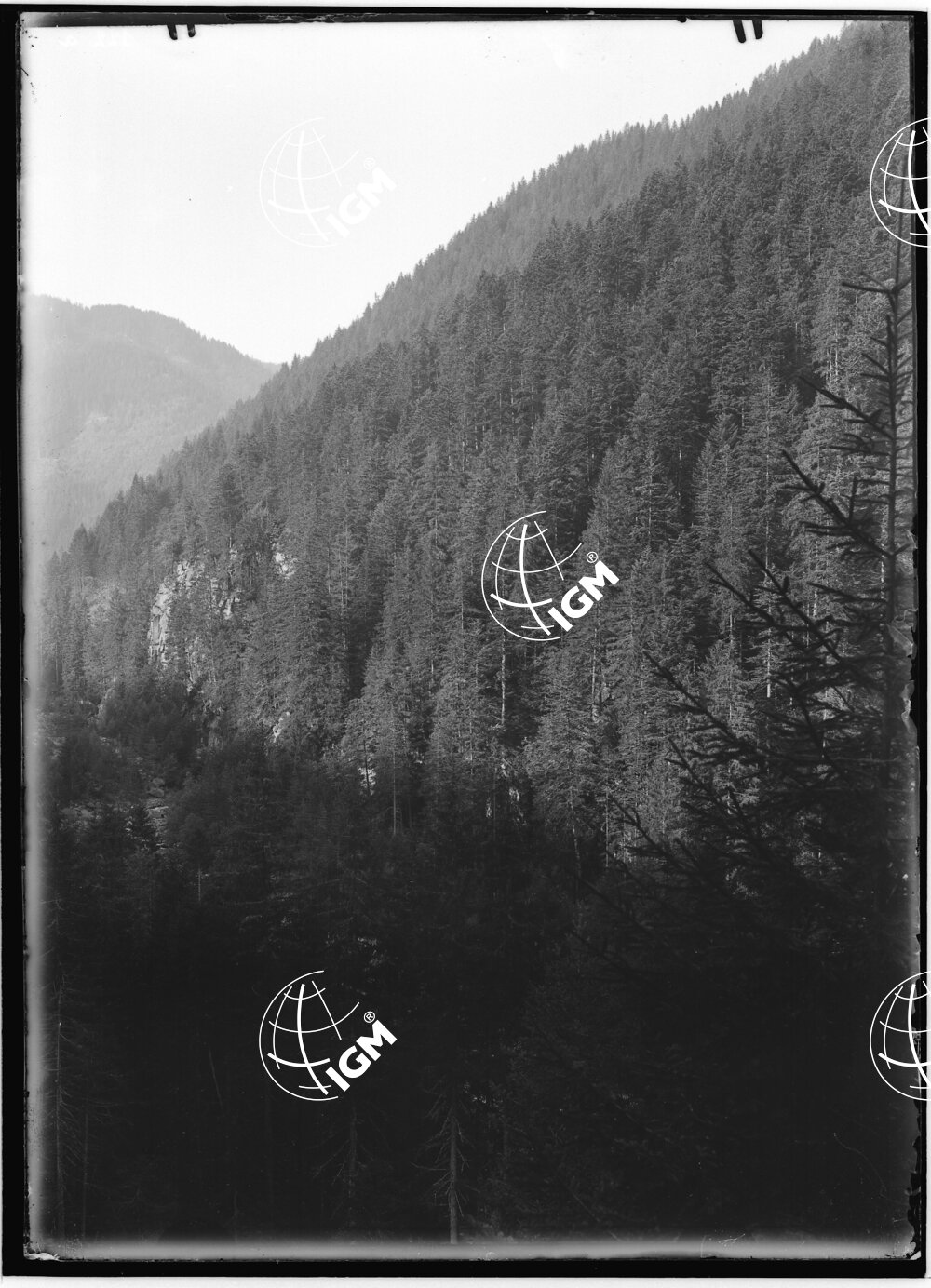 Val Cadino - LN00009794