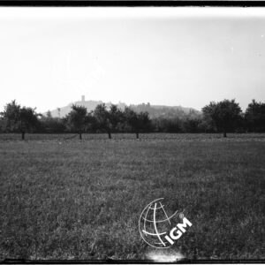 Solferino - LN00009833