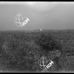 Carzago - LN00009850
