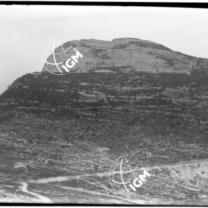 M. Zingarella - LN00009926