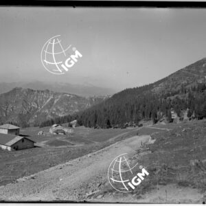 Malghe Costani (Col Santo) - LN00009939