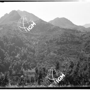 M. Civillina - LN00009943