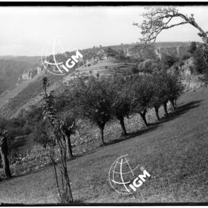 Testata Val Pantena - LN00009952