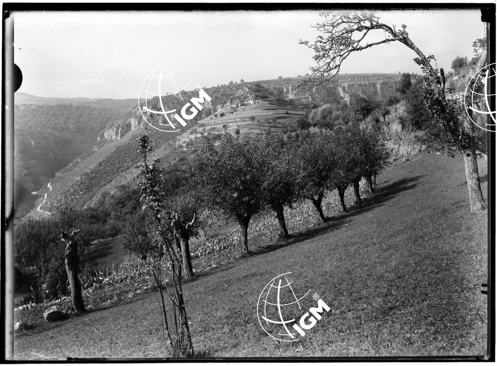 Testata Val Pantena - LN00009952