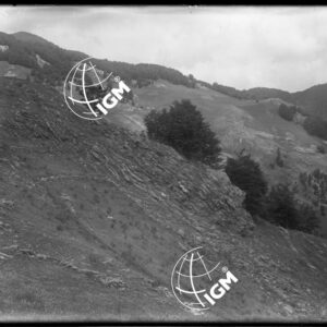 Valle del Cem Selcit Panorama est eseguito dalle pendici del Kersci Mones - LN00010306