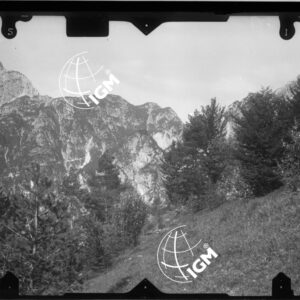 tavoletta di Dogna - rilievo stereofotogrammetrico - LN00010370