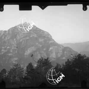 tavoletta di Dogna - rilievo stereofotogrammetrico  Stazione Monticello - LN00010406