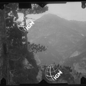 tavoletta di Dogna - LN00010416