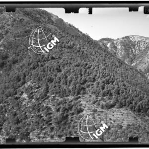 Olivetta (allegato 6 al foglio 90 panorama 3) - LN00010495