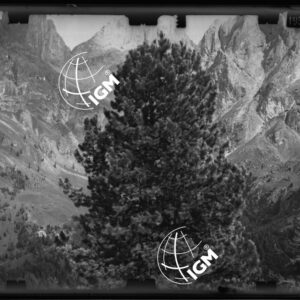 Marmolada da Chegaris - LN00010557