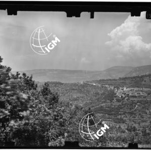 Valle di Ospo - stazione VI - LN00010590