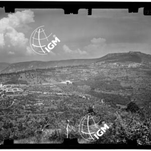 Valle di Ospo - stazione VI - LN00010592