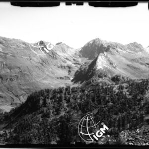 Valle d'Ambra - lastre ripetute. - LN00011676