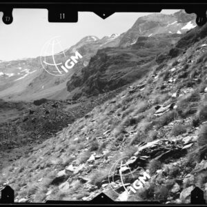 Valle di Fenis - stazione 9 - Pendici Ovest Gr. Avert Tessanet - località presa: Nord Gr. Chaz - LN00011978