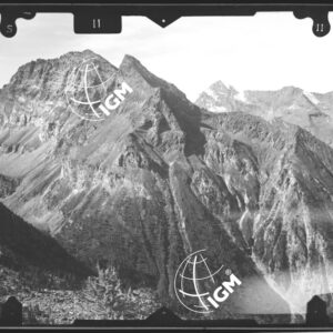 Valle di Fenis - stazione 11 - Pendici della Tersiva a M. Carquest - LN00011985