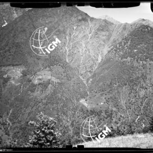Staz. 4 - Valle Anzasca - Cima di Battel Marigal - M. dei Cani - località presa: Motto del Balmo - LN00012168