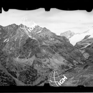 Staz. 6 - Valpelline (Aosta) - Chatèlen B. ca Des Laec Vanna - località presa: M. Arpetta - LN00012439