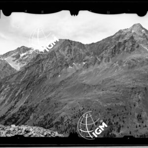 Staz. 6 - Valpelline (Aosta) - Chatèlen B. ca Des Laec Vanna - località presa: M. Arpetta - LN00012440