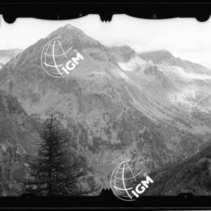 Staz. 15 - Valpelline (Aosta) - M. Arpetta - B. d'Inverian - M. della Tosa - B.des Laes - località presa: M. della Tosa - Bon. Des. Lancs - LN00012488