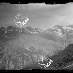 Staz. P - Alta Val di Gressoney - Vallone di Mass - località presa: Est di S. Anna - LN00012561
