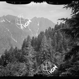 Staz. 1 e 2 - Tavoletta di Bannino - Il Corno di Scarpignano e il Vallone di Rosuzza - località presa: Alpi Lori - LN00012702