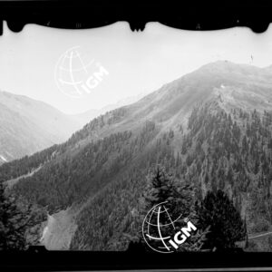 Staz. 3 - Rocciamelon - Colle Nuses Vicosantava - località presa: Nord di Picosecco - LN00013066