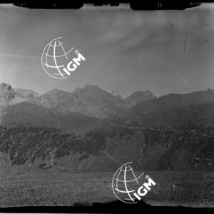 Staz. 4 - Conca di Livigno: Il Motto - località presa:   Valandrea - LN00013246