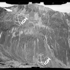 Staz. 11a - Conca di Livigno: Monte Vago - località presa: Ghiacciaio Di Campo - LN00013389