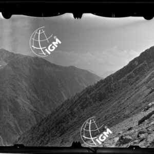 Staz. 3 - Ponte Valtellina: Monte Combolo - località presa: Alpe Vicima - LN00013492