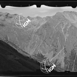 Staz. 5 - Ponte Valtellina: Monte Saline Ganda Rossa - località presa: Alpe Mortirolo - LN00013503