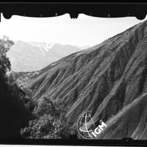 Staz. 11 - Ponte Valtellina: Campondole Croce dei Motti - località presa: S. Antonio - LN00013549