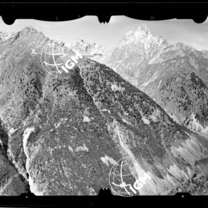 Staz. 11 - Ponte Valtellina: Campondole Croce dei Motti - località presa: S. Antonio - LN00013556