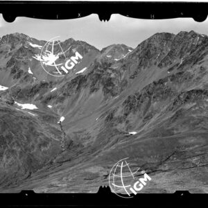 Staz. 5 - Val Viola: M. Val Nera e P.zo Confine - località presa: P.zo Bianco - LN00013597