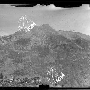 Staz. 19 - Val Grosina: Fianco Sud Monte Masuccio - località presa: Alpi di Costamoraia - LN00013785