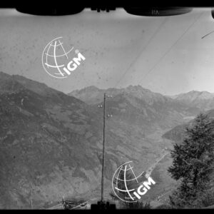 Staz. 19 - Val Grosina: Fianco Sud Monte Masuccio - località presa: Alpi di Costamoraia - LN00013786