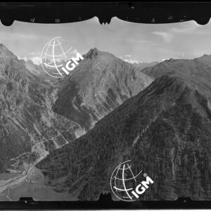 Staz. 9 - Valtellina: Val Venia Fopel - località presa: Matto - LN00013839