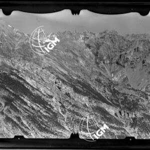 Staz. 10 - Valtellina: Fopel - località presa: Pendici W. Cassa del Ferro - LN00013849