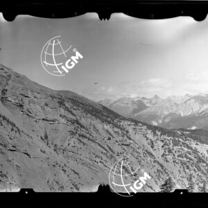 Staz. 11 - Valtellina: Murtarus fianco W. - località presa: Pendici W. Cassa del Ferro - LN00013861