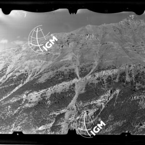 Staz. 12 - Valtellina: Cima Paradiso - località presa: Pendici W. Mustarus - LN00013864