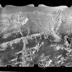 Staz. 12 - Valtellina: Cima Paradiso - località presa: Pendici W. Mustarus - LN00013865