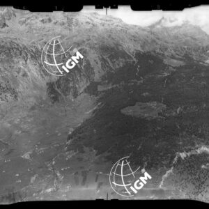 "Staz. S (?) - Val Malenco: Zona Alpe Fora, Pizzo Tre Moggie - Località presa: non rinvenuta" - LN00014099